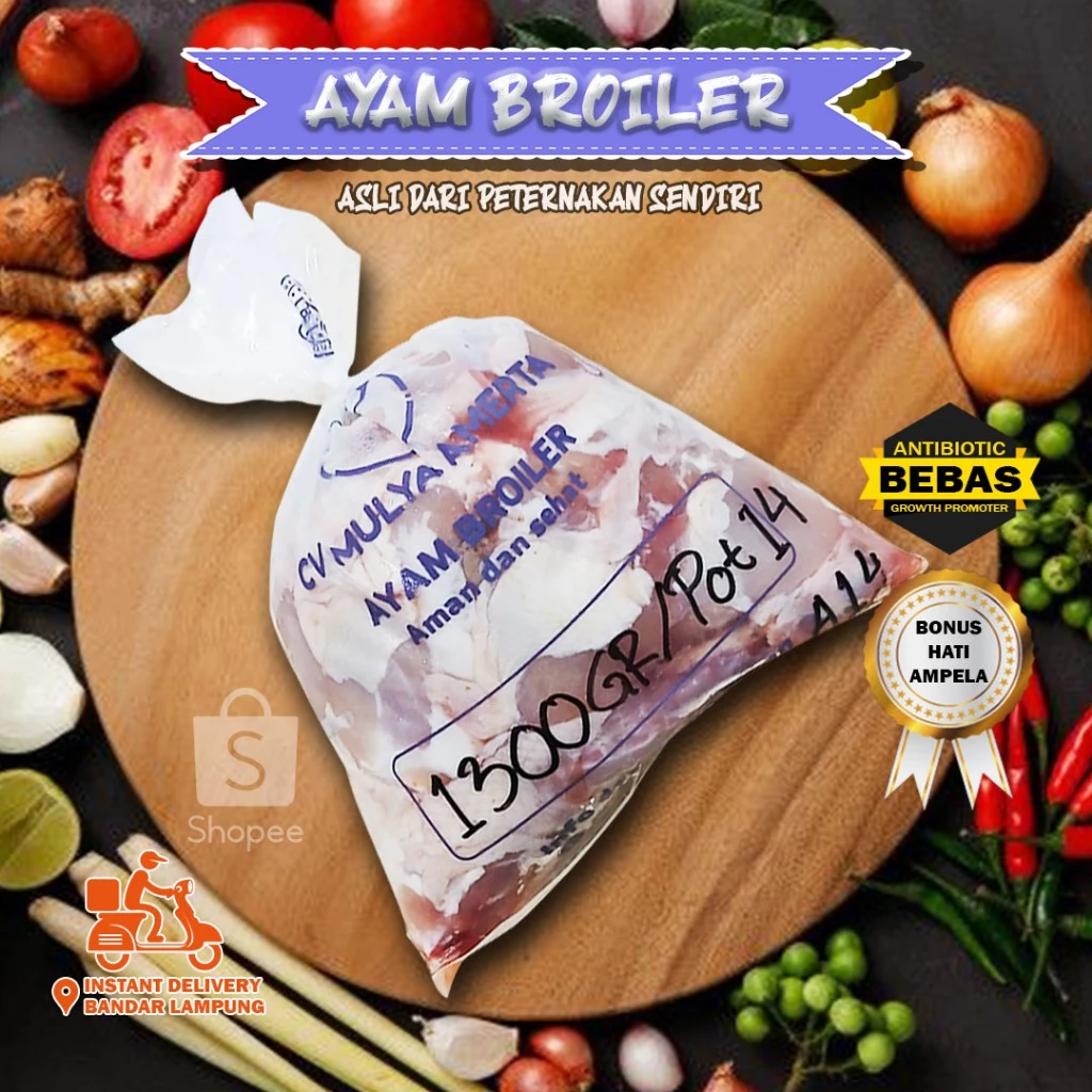 Jual Ayam Broiler Frozen Lampung