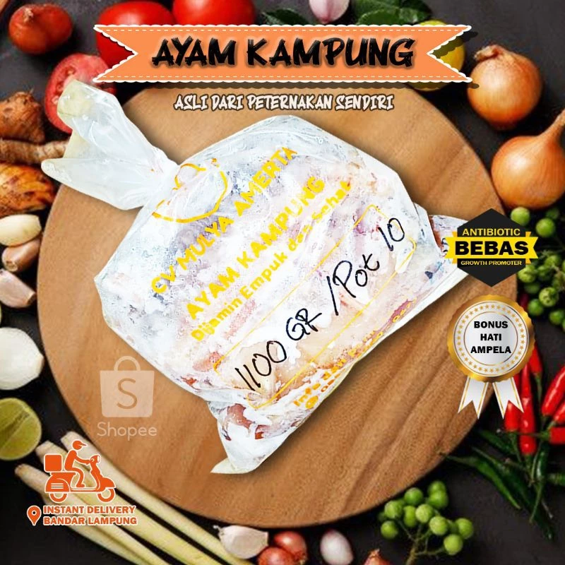 Ayam Kampung Frozen Lampung 1100gr